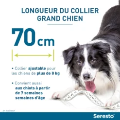 Seresto Collier Chien -Éco Pattes seresto grand chien longueur du collier
