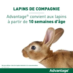 Advantage 80 Chat Et Lapin De Plus De 4 Kg -Éco Pattes vignette lapin