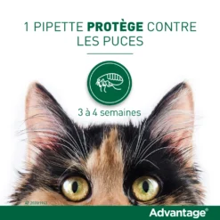 Advantage 80 Chat Et Lapin De Plus De 4 Kg -Éco Pattes vignette puces