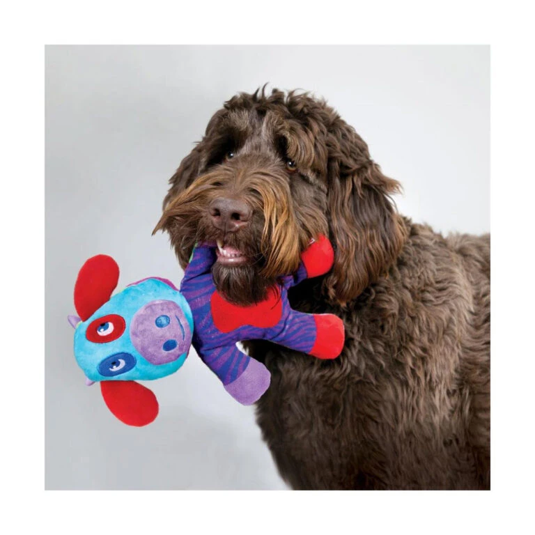 Devant 16 Devant -Éco Pattes e91674d3a6c9d85e9122f32ed2c7b4a01edd1796d8c2a338cfc8630ff331e30c 768x768 1